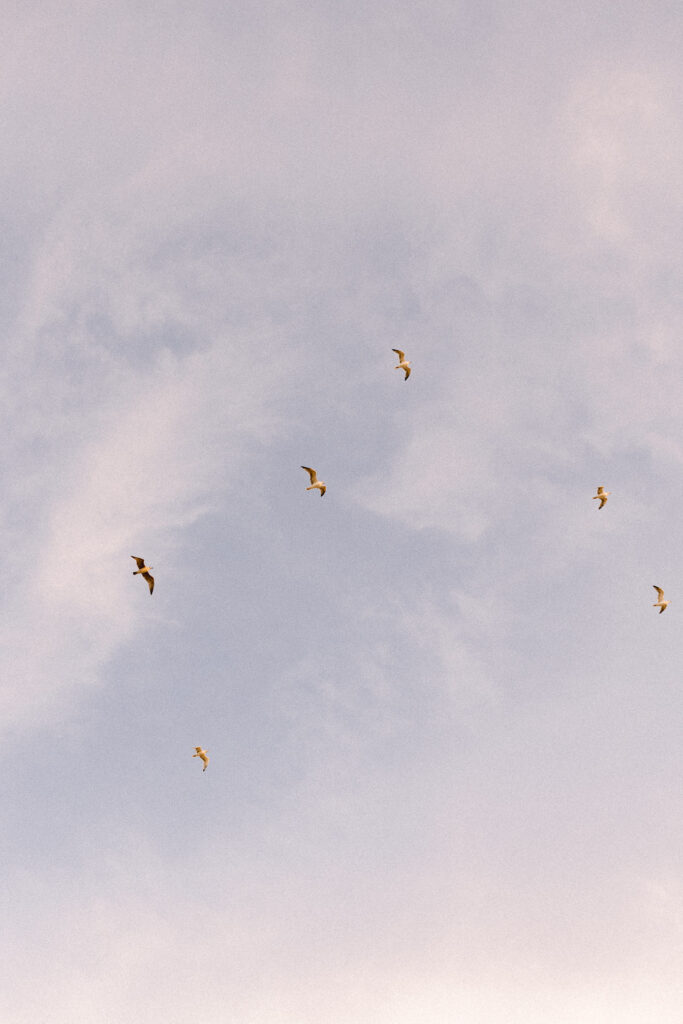 Photographe mariage lumio