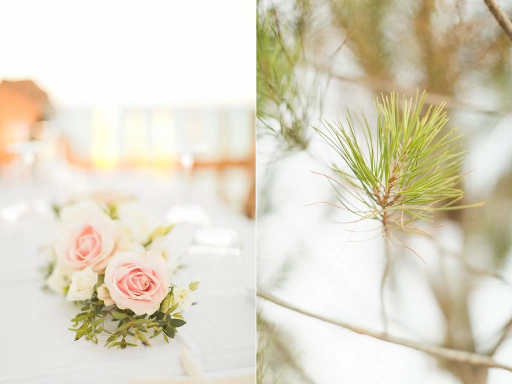 thomas carlotti mariage à porto-vecchio