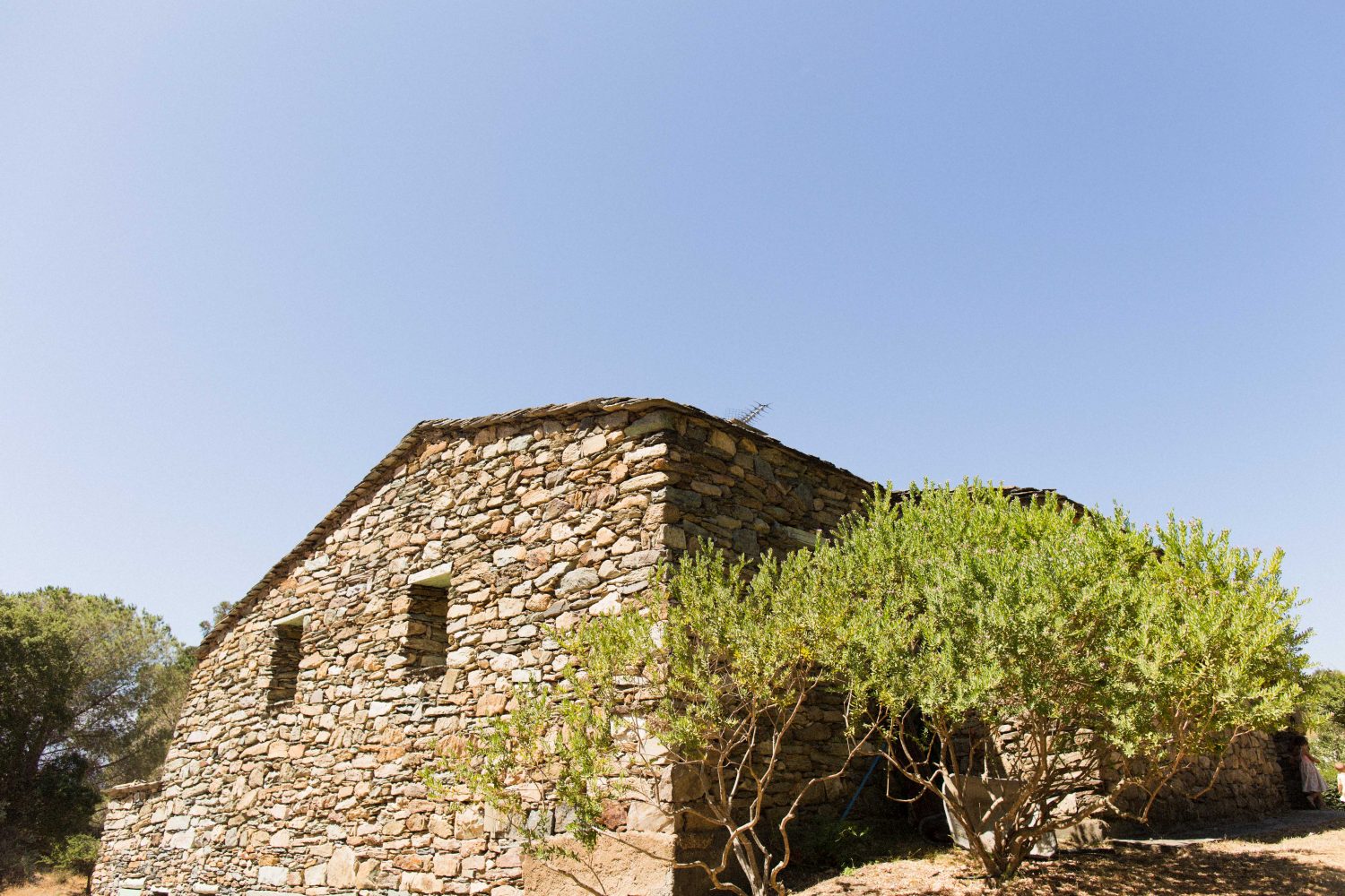 Mariage à La Casa Briefa Patrimonio