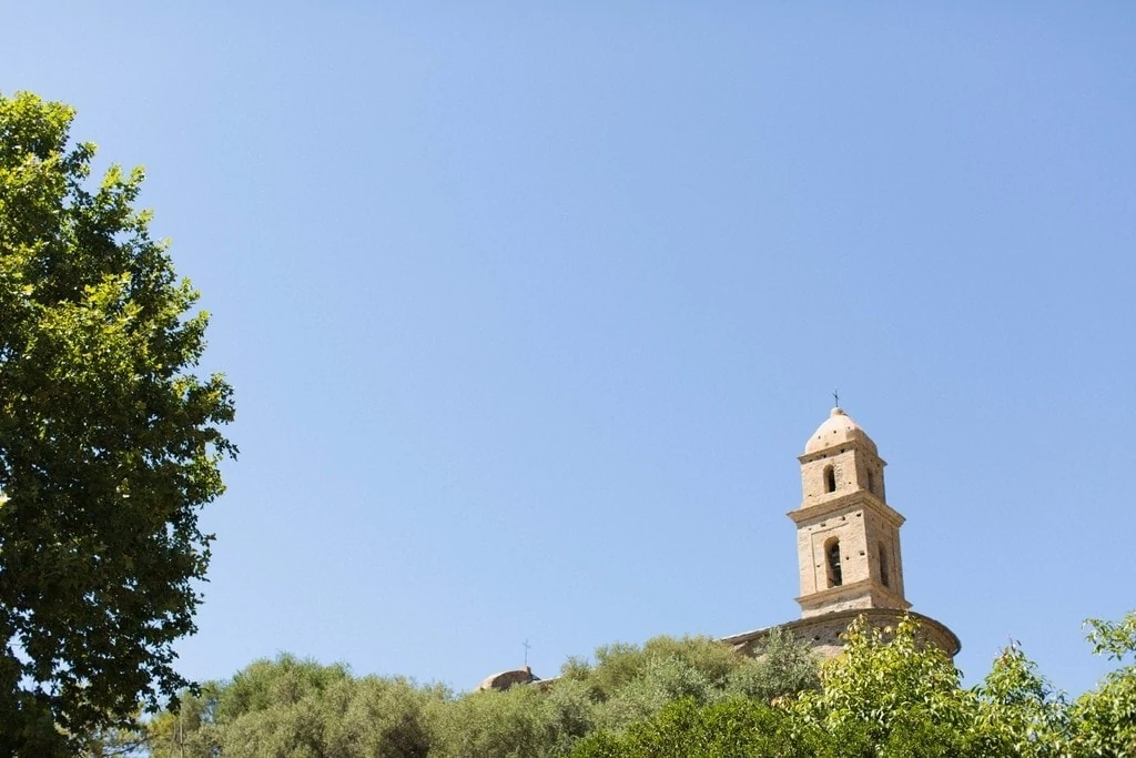 mariage dans les vignes en corse