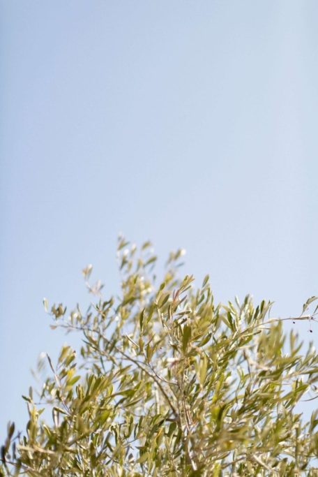 photos-de-mariages-en-corse-Ajaccio