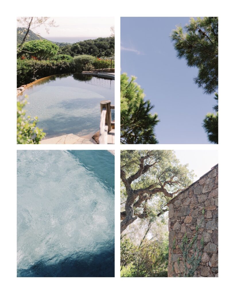 Mariage au Mas des Oliviers de Palombaggia
